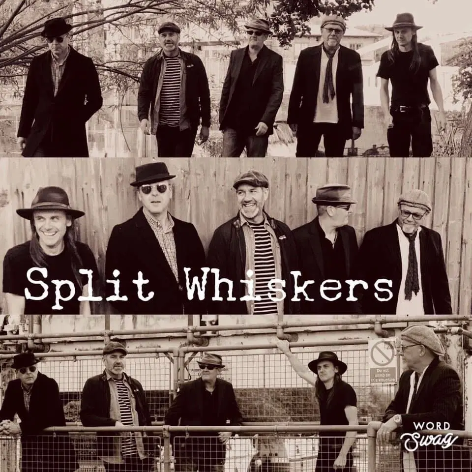 Split Whiskers